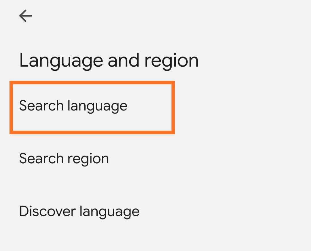 Google application search language