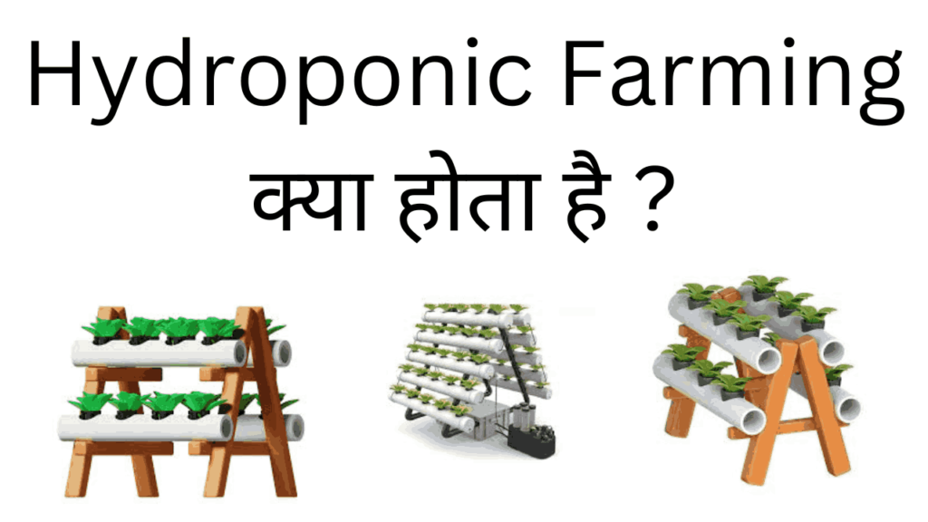 Hydroponic farming kya hota hai 