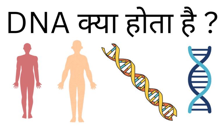 Dna kya hota hai